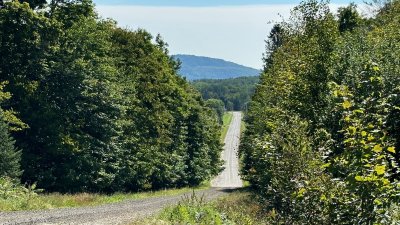 Chemin des Champagnes, St-Jean des Piles